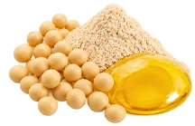 {{OFFER_NAME}} — Phosphatidylserin