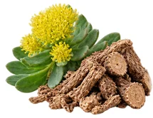 {{OFFER_NAME}} — Rhodiola-rosea-Wurzelextrakt