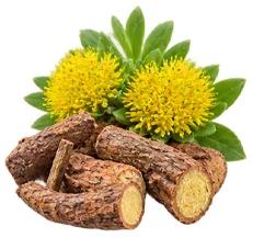 {{OFFER_NAME}} — Rhodiola-rosea-Wurzelextrakt